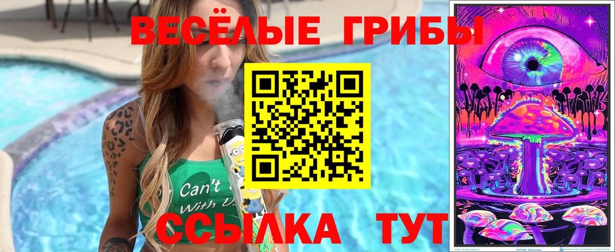 как найти закладки  Псилоцибиновые грибы GOLDEN TEACHER  Вход с VPN  Саров 