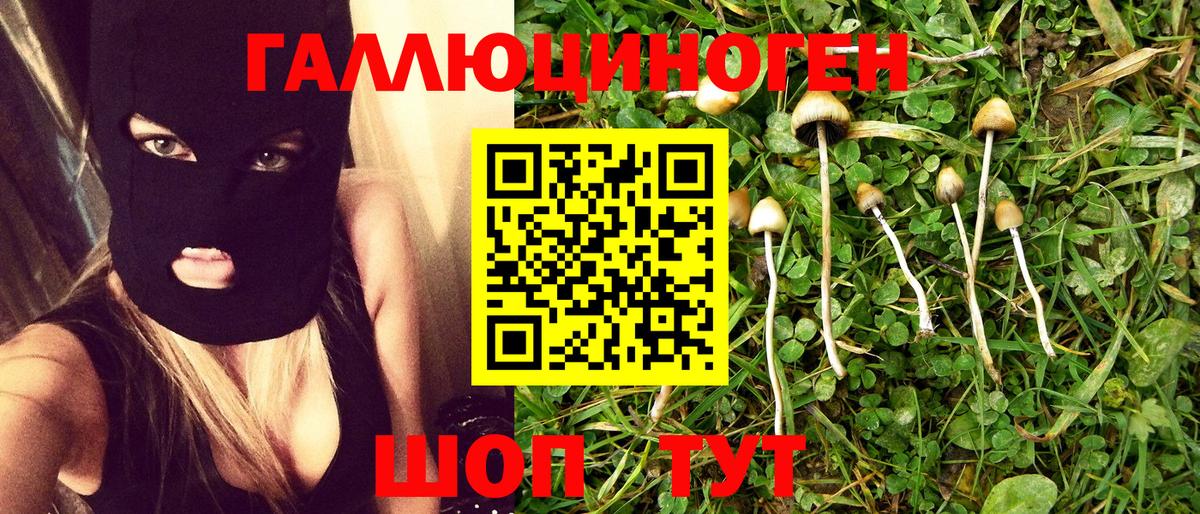 Псилоцибиновые грибы MAGIC MUSHROOMS Саров